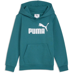 PUMA Essentials No. 1 Logo Fleece Hoodie Jungen 41 - emerald ice 116