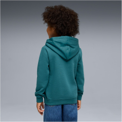 PUMA Essentials No. 1 Logo Fleece Hoodie Jungen 41 - emerald ice 116