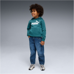 PUMA Essentials No. 1 Logo Fleece Hoodie Jungen 41 - emerald ice 116