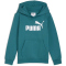 PUMA Essentials No. 1 Logo Fleece Hoodie Jungen 41 - emerald ice 116