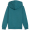 PUMA Essentials No. 1 Logo Fleece Hoodie Jungen 41 - emerald ice 116