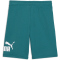 PUMA Essentials No. 1 Logo French Terry Sweatshorts Jungen 41 - emerald ice 128