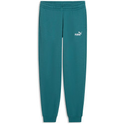 PUMA Essentials No. 1 Logo Fleece Jogginghose Jungen 41 - emerald ice 152