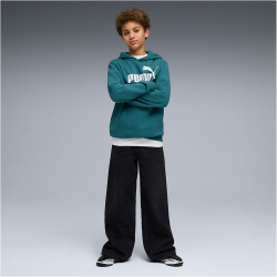 PUMA Essentials No. 1 Logo Fleece Hoodie Jungen 41 -...