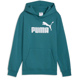 PUMA Essentials No. 1 Logo Fleece Hoodie Jungen 41 - emerald ice 140