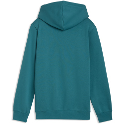 PUMA Essentials No. 1 Logo Fleece Hoodie Jungen 41 - emerald ice 140