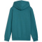 PUMA Essentials No. 1 Logo Fleece Hoodie Jungen 41 - emerald ice 140