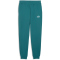 PUMA Essentials 2 Color No. 1 Logo French Terry Jogginghose Herren 41 - emerald ice S