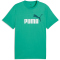 PUMA Essentials 2 Color No. 1 Logo T-Shirt Herren 40 - vibrant green L
