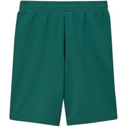 PUMA Essentials No. 1 Logo 10" Sweatshorts Herren 41 - emerald ice S