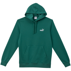PUMA Essentials Small No. 1 Logo French Terry Hoodie Herren 41 - emerald ice M
