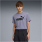 PUMA Essentials No. 1 Logo T-Shirt Herren 65 - gray sky S