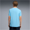 PUMA Essentials No. 1 Logo T-Shirt Herren 45 - vibrant blue S