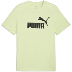 PUMA Essentials No. 1 Logo T-Shirt Herren 38 - apple spritz S