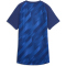 PUMA IndividualBLAZE Fußballtrikot Damen 01 - blue jewel/puma white XS