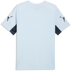PUMA IndividualLIGA Fußballtrikot Herren 02 - icy...
