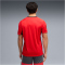 PUMA IndividualLIGA Graphic Fußballtrikot Herren 01 - PUMA red/PUMA white/PUMA black S