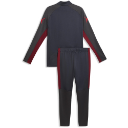 PUMA IndividualLIGA Trainingsanzug Herren 01 - strong...