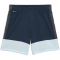 PUMA IndividualLIGA Trainingsshorts Kinder 02 - mineral cobalt/icy blue/strong gray 116
