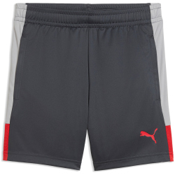 PUMA IndividualLIGA Trainingsshorts Kinder 01 - gray...