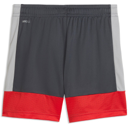PUMA IndividualLIGA Trainingsshorts Kinder 01 - gray...