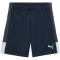 PUMA IndividualLIGA Trainingsshorts Herren 02 - mineral cobalt/icy blue/strong gray S
