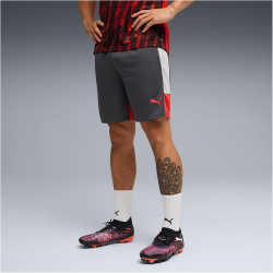 PUMA IndividualLIGA Trainingsshorts Herren 01 - gray...
