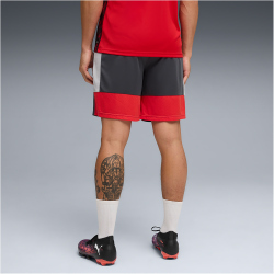 PUMA IndividualLIGA Trainingsshorts Herren 01 - gray...