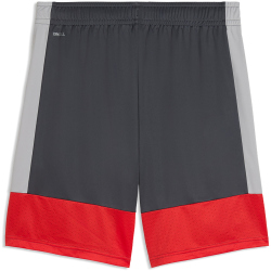 PUMA IndividualLIGA Trainingsshorts Herren 01 - gray...