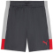 PUMA IndividualLIGA Trainingsshorts Herren 01 - gray echo/dusky gray/puma red S