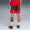 PUMA IndividualLIGA Trainingsshorts Herren 01 - gray echo/dusky gray/puma red S