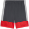 PUMA IndividualLIGA Trainingsshorts Herren 01 - gray echo/dusky gray/puma red S