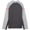 PUMA IndividualLIGA 1/4-Zip Trainings-Top Kinder 01 - dusky gray/puma red/gray echo 116