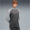 PUMA IndividualLIGA 1/4-Zip Trainings-Top Herren 01 - dusky gray/puma red/gray echo S