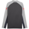 PUMA IndividualLIGA 1/4-Zip Trainings-Top Herren 01 - dusky gray/puma red/gray echo S
