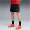 PUMA IndividualFINAL Fußballshorts Herren 01 - dusky gray/mint jelly/glowing red S