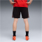 PUMA IndividualFINAL Fußballshorts Herren 01 - dusky gray/mint jelly/glowing red S