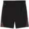 PUMA IndividualFINAL Fußballshorts Herren 01 - dusky gray/mint jelly/glowing red S