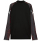 PUMA IndividualFINAL 1/4-Zip Trainings-Top Herren 01 - PUMA black/mint jelly/glowing red S