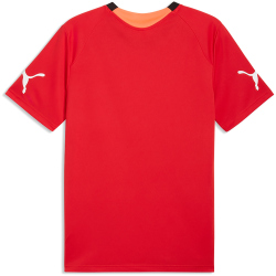 PUMA IndividualFINAL Fußballtrikot Herren 01 -...
