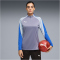 PUMA IndividualBLAZE 1/4-Zip Trainings-Top Damen 01 - gray sky/puma white/royal sapphire XS