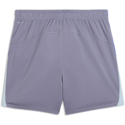 PUMA IndividualBLAZE Shorts Damen 01 - gray sky/puma...