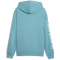 PUMA Graphics French Terry Hoodie Herren 46 - baltic sea blue S