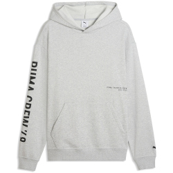 PUMA Graphics French Terry Hoodie Herren 04 - light gray...