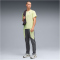 PUMA PWRtrain Fabric Mix Trainingsshirt Herren 38 - apple spritz S