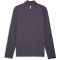 PUMA PWRtrain Fabric Mix 1/4-Zip Trainings-Top Herren 99 - galactic gray L