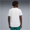 PUMA PWRtrain Triblend Trainingsshirt Herren 02 - PUMA white 3XL