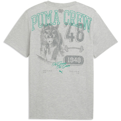 PUMA Graphic Trainingsshirt 1 Herren 04 - light gray...
