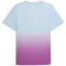 PUMA x Hyrox Poly Graphic Trainingsshirt Herren 73 - lucite/electric orchid S