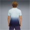 PUMA x Hyrox Poly Graphic Trainingsshirt Herren 64 - lucite/deep plum S